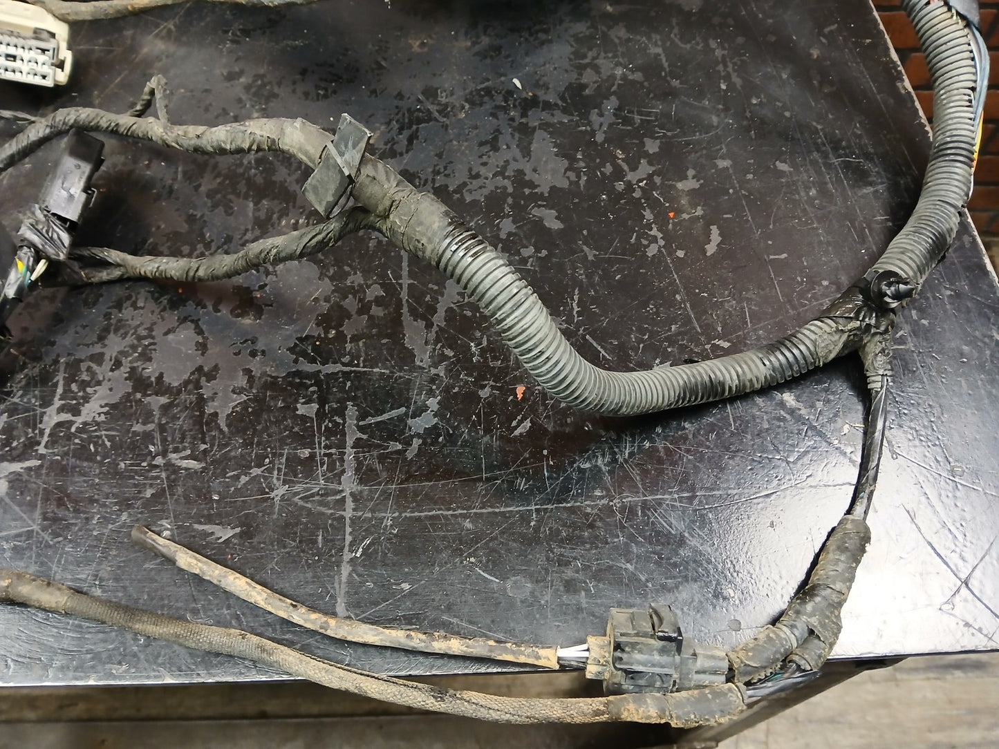 2007 Dodge Charger SRT Headlamp to Dash Wire Wiring Harness 04855352ab DAMAGED