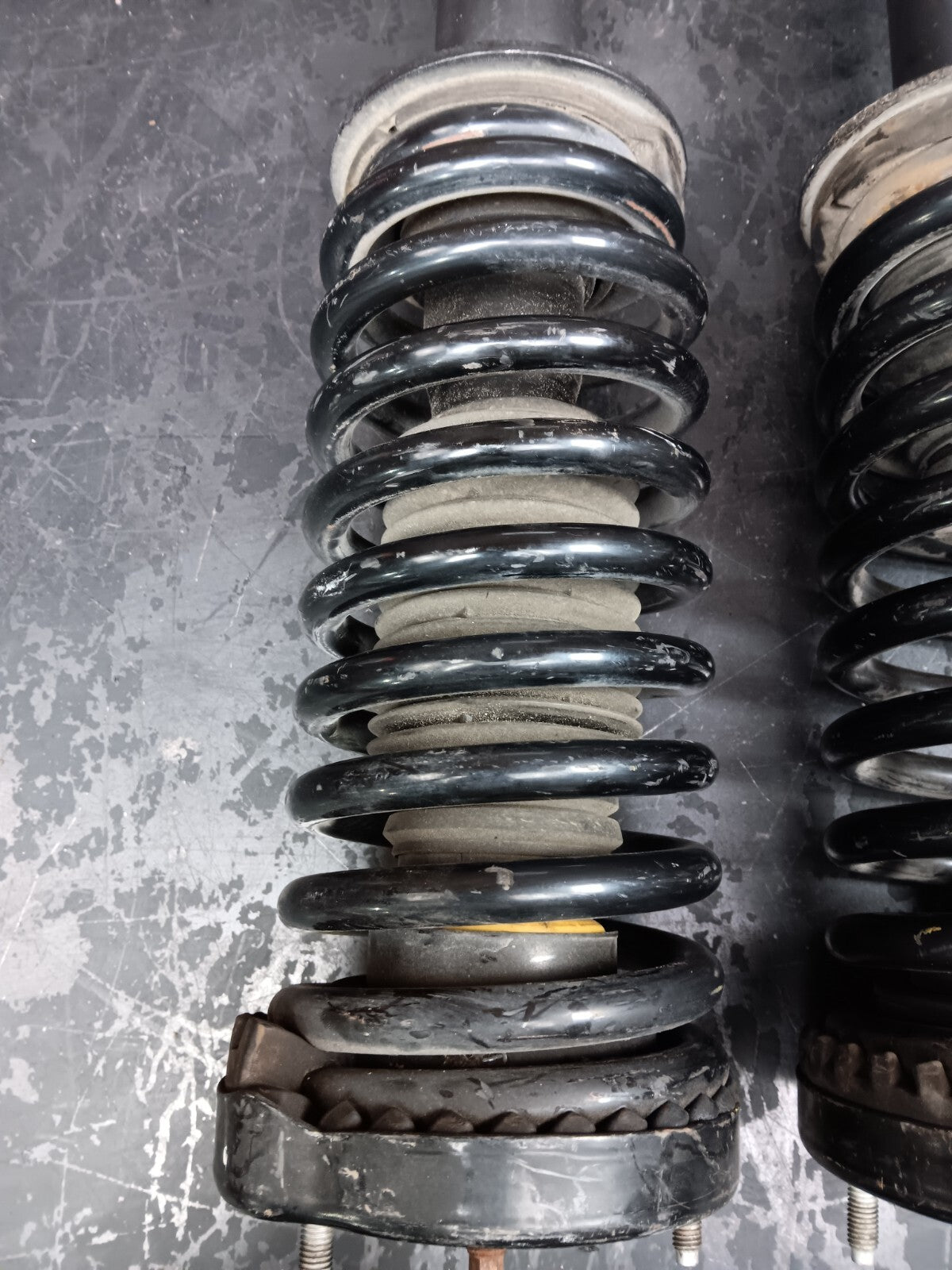 2005-2010 Dodge Charger/300 Leacree Strut Shock Absorber Coil Spring Front Pair