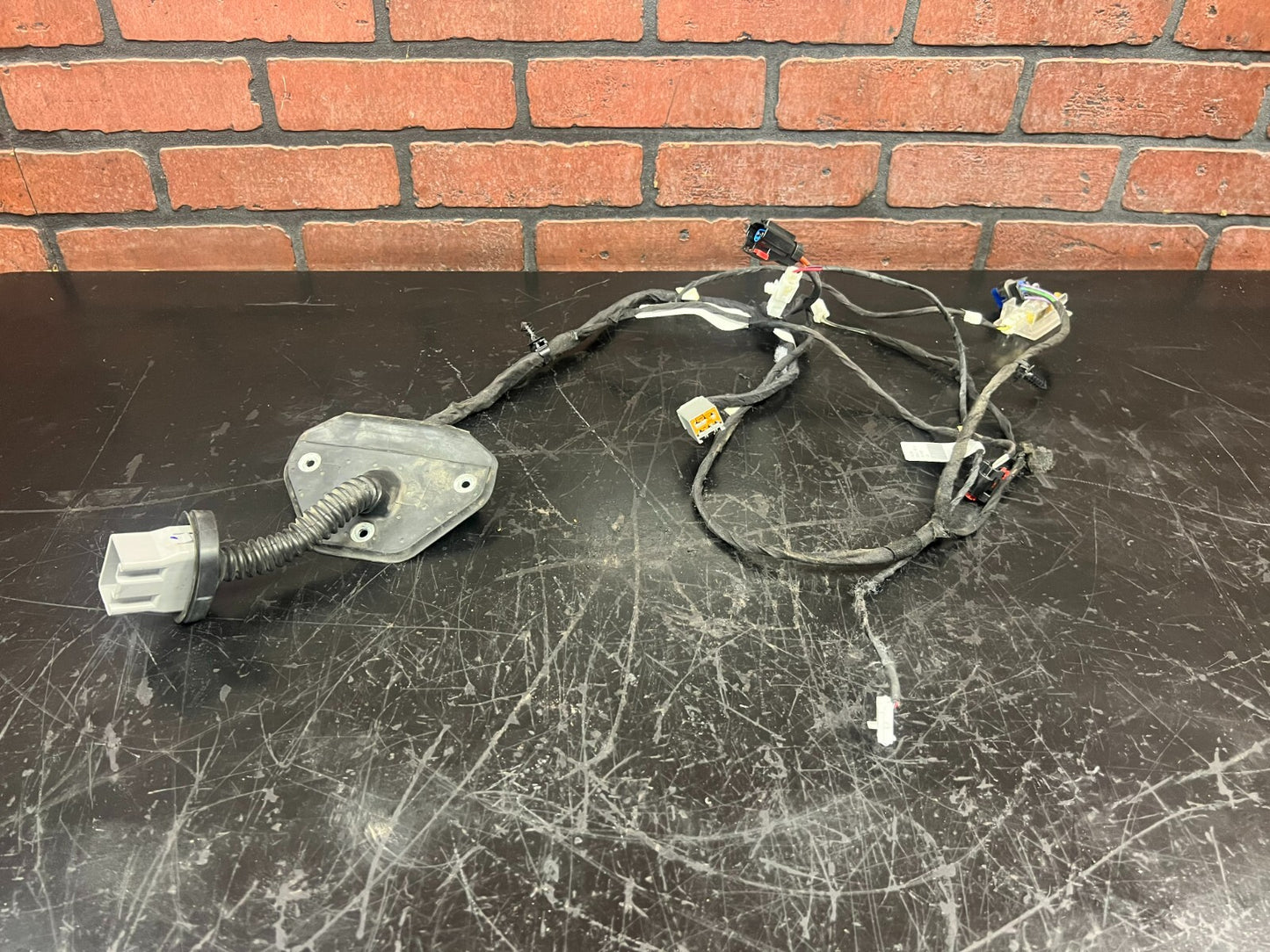 2011-2015 Dodge Charger Driver LH Rear Left Door Wiring Wire Harness OEM