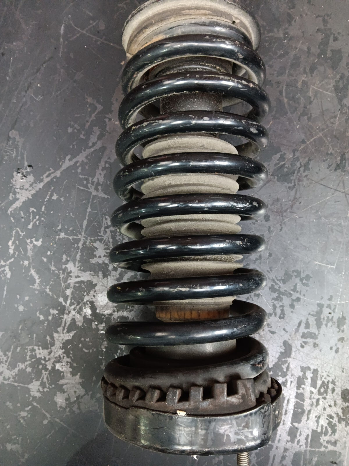 2005-2010 Dodge Charger/300 Leacree Strut Shock Absorber Coil Spring Front Pair