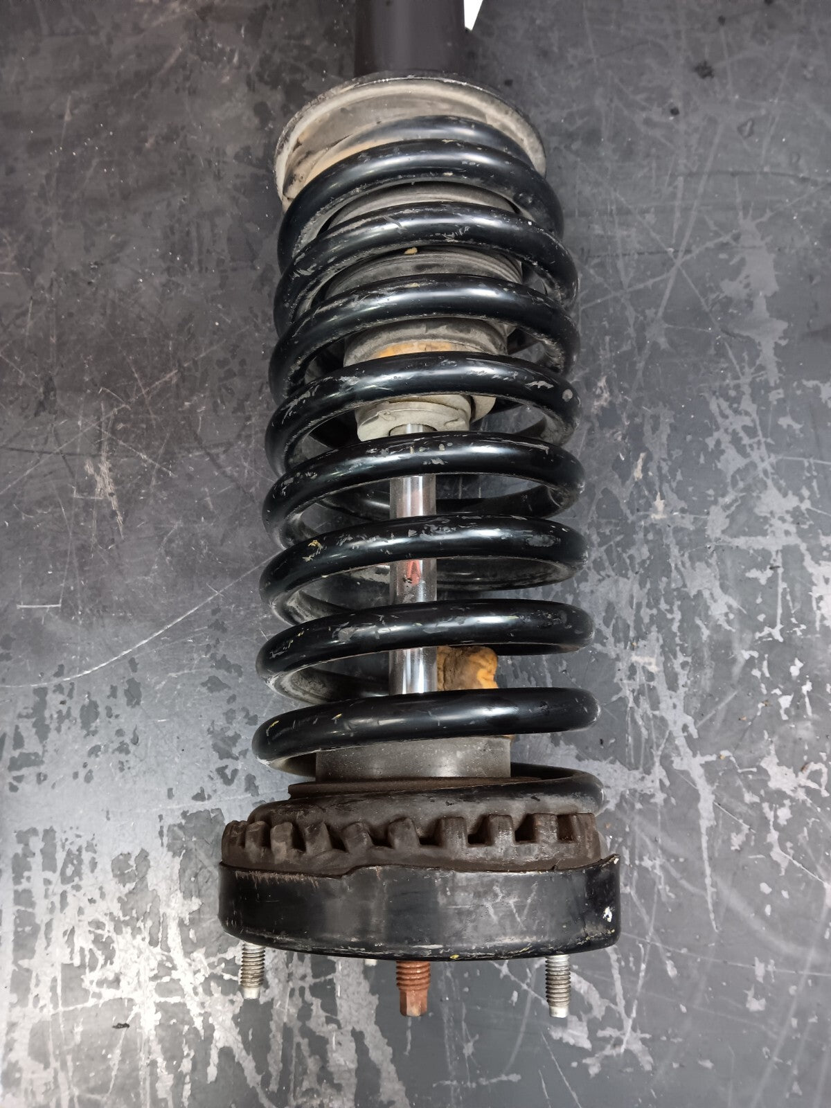 2005-2010 Dodge Charger/300 Leacree Strut Shock Absorber Coil Spring Front Pair