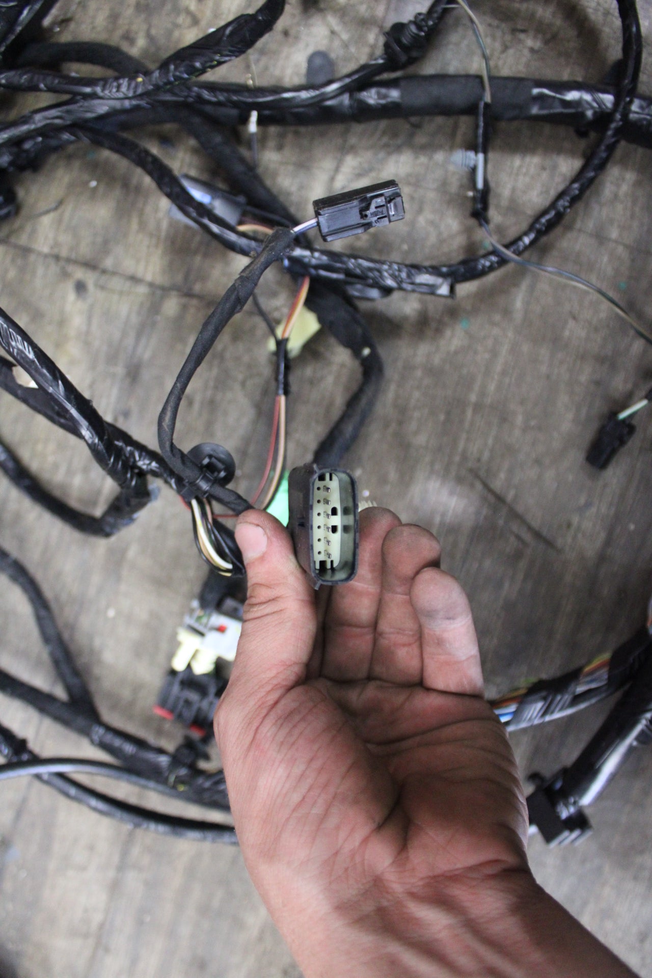 2021 Dodge Charger Scat Pack 392 6.4L Body Wire Wiring Harness 68487549AB OEM