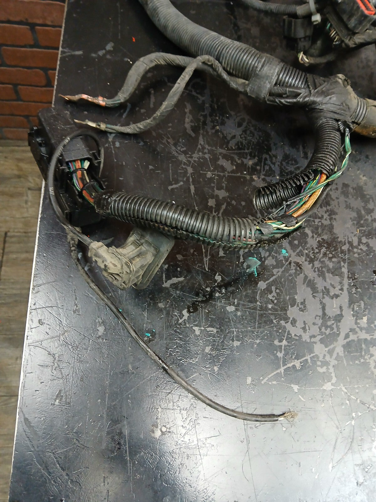2007 Dodge Charger SRT Headlamp to Dash Wire Wiring Harness 04855352ab DAMAGED