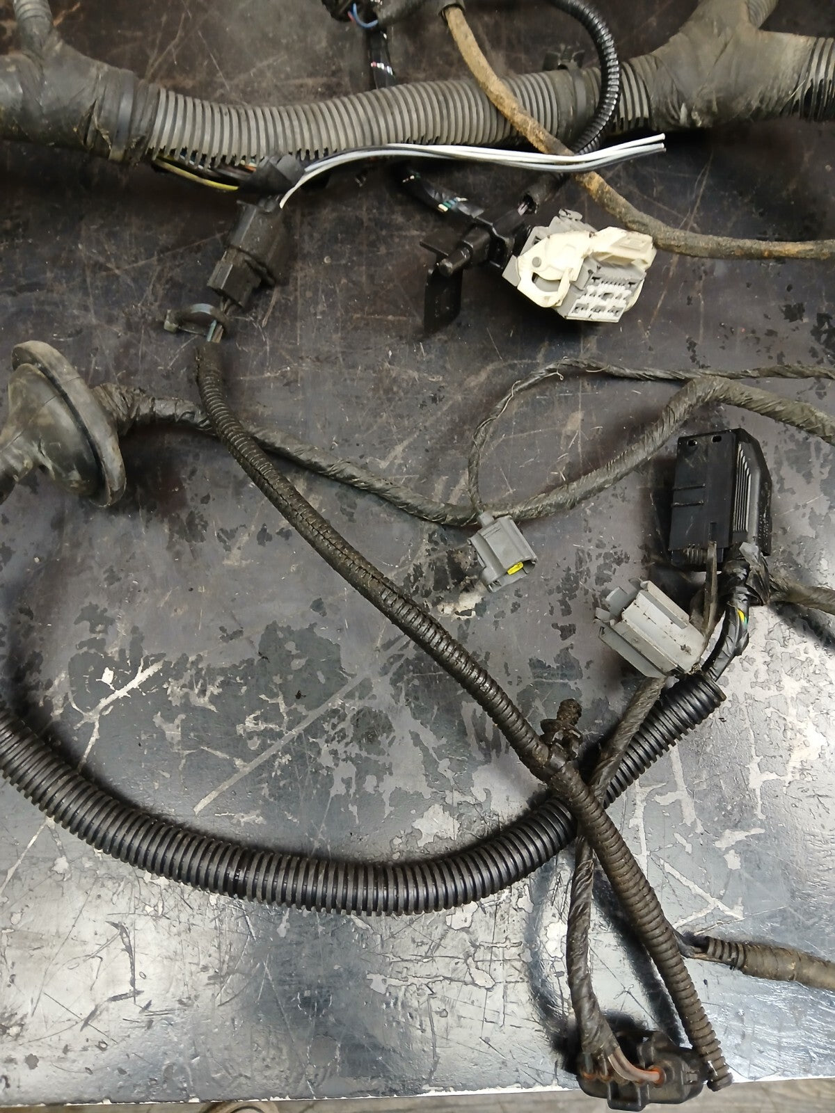 2007 Dodge Charger SRT Headlamp to Dash Wire Wiring Harness 04855352ab DAMAGED