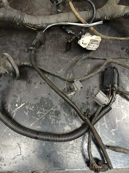 2007 Dodge Charger SRT Headlamp to Dash Wire Wiring Harness 04855352ab DAMAGED