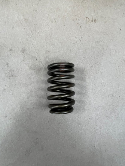 4.8L/5.3L/5.7L/6.0L/6.2L LS LQ V8 Chevrolet Chevy GM Valve 90lb Spring Set of 16