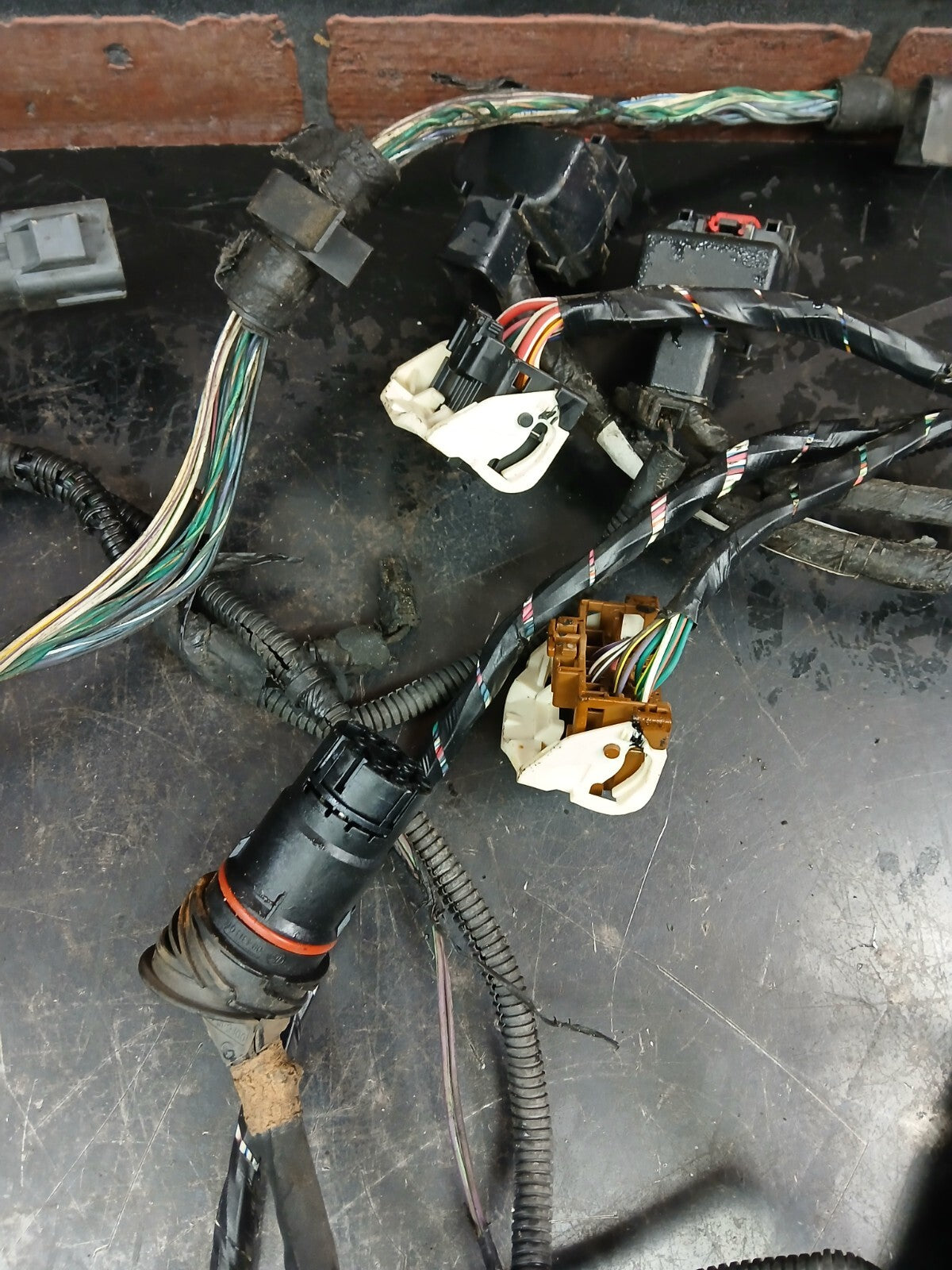 2007 Dodge Charger SRT Headlamp to Dash Wire Wiring Harness 04855352ab DAMAGED