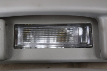 2006-2010 OEM Chrysler 300 Liberty Lighted Interior Roof Grab Handle Set 1105517