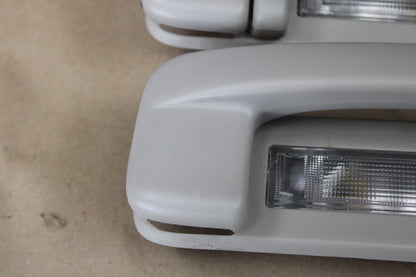 2006-2010 OEM Chrysler 300 Liberty Lighted Interior Roof Grab Handle Set 1105517